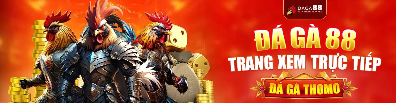 Đá Gà Trực Tuyến Hấp Dẫn tại mv666 Code
