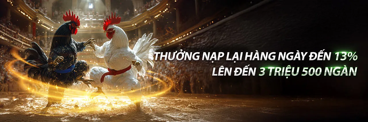 Đăng ký ngay để nhận ưu đãi MV666 Code
