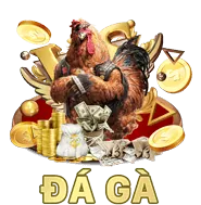 Hỗ trợ và FAQ MV666 Code